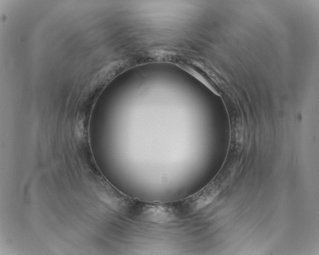 X0000089740611200706211504