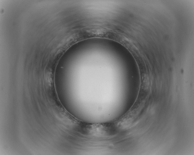 X0000089740612200706211503