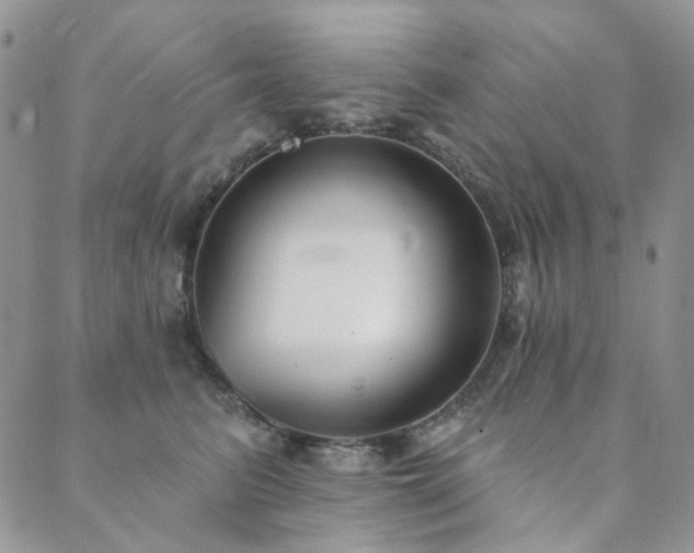 X0000089740615200706211503