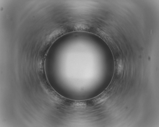 X0000089740619200706211503