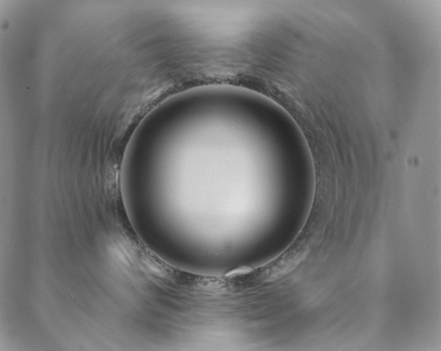 X0000089740624200706211503