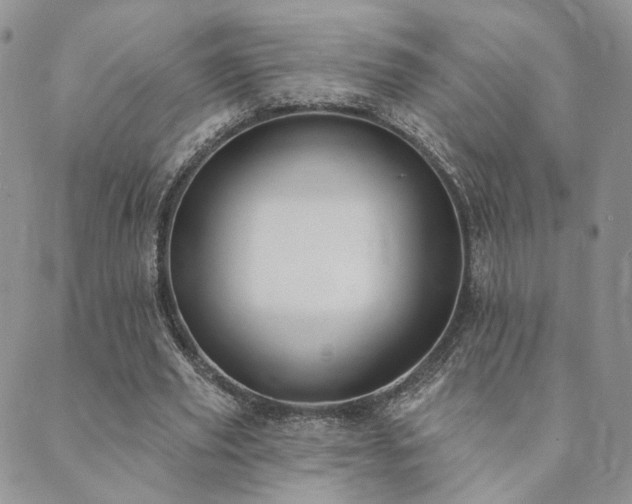 X0000089740629200706211503