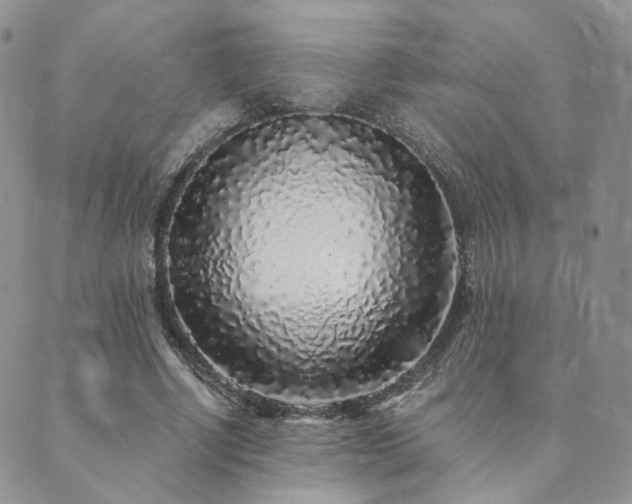 X0000089740634200706211503