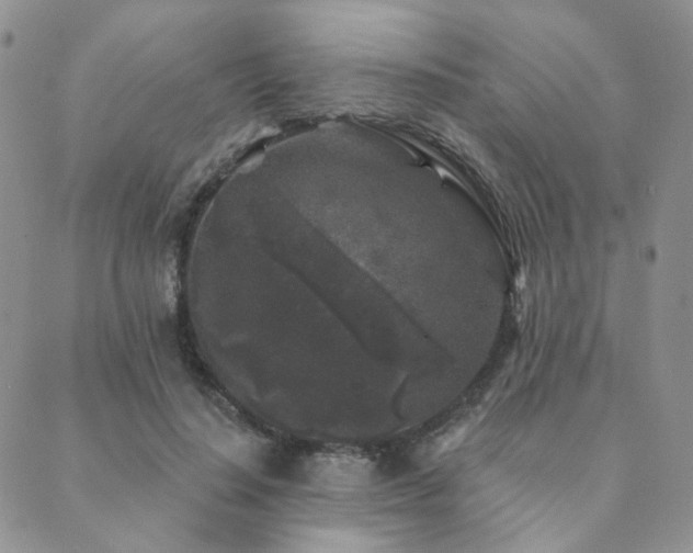 X0000089740644200706211503