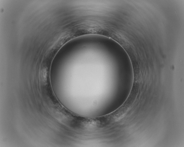 X0000089740646200706211503