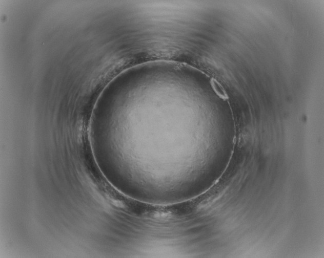 X0000089740647200706211503