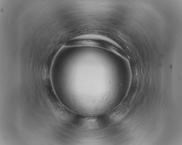 X0000089740651200706211503