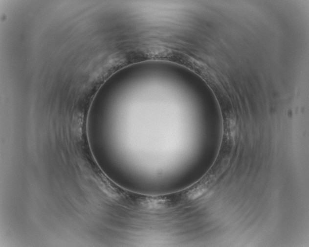 X0000089740664200706211503