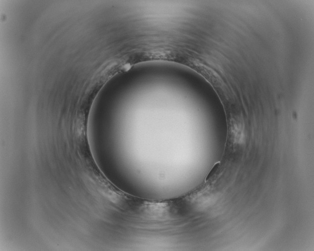 X0000089740665200706211503