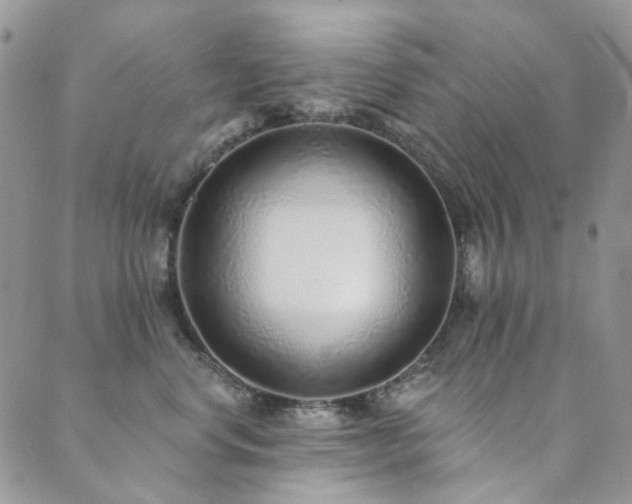 X0000089740668200706211503