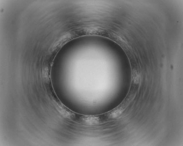 X0000089740670200706211503