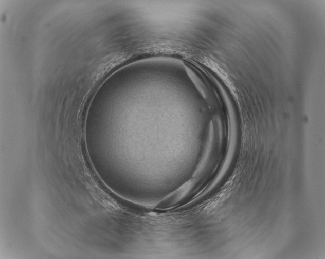 X0000089740673200706211502