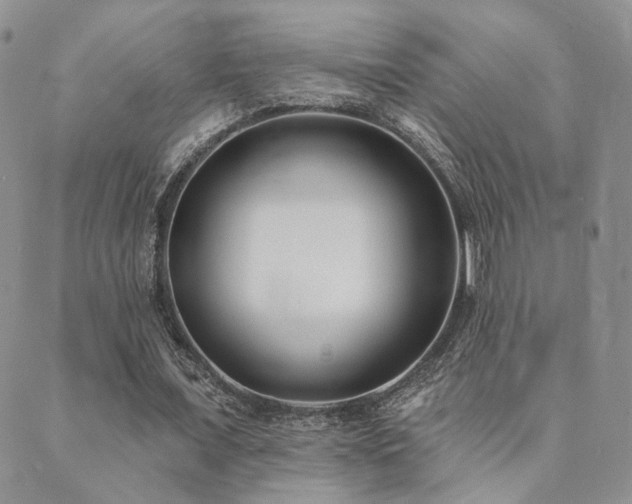 X0000089740675200706211502