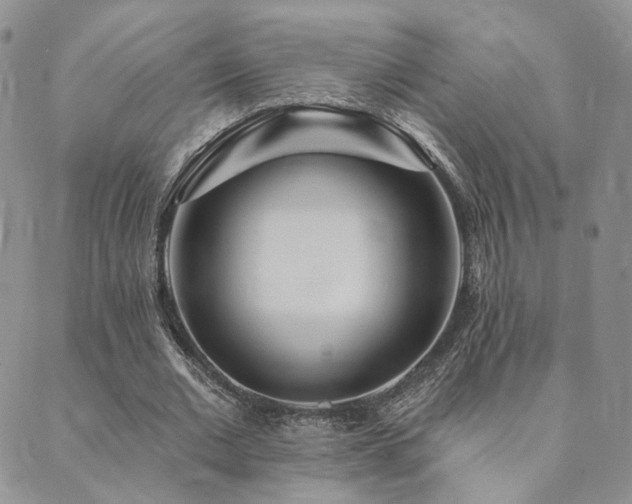 X0000089740677200706211502