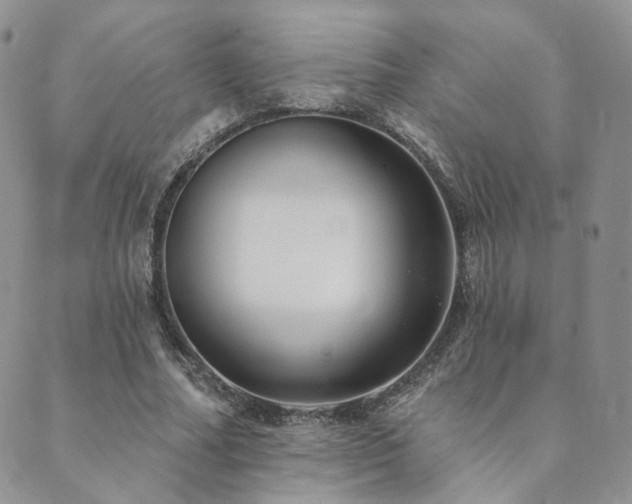 X0000089740682200706211502