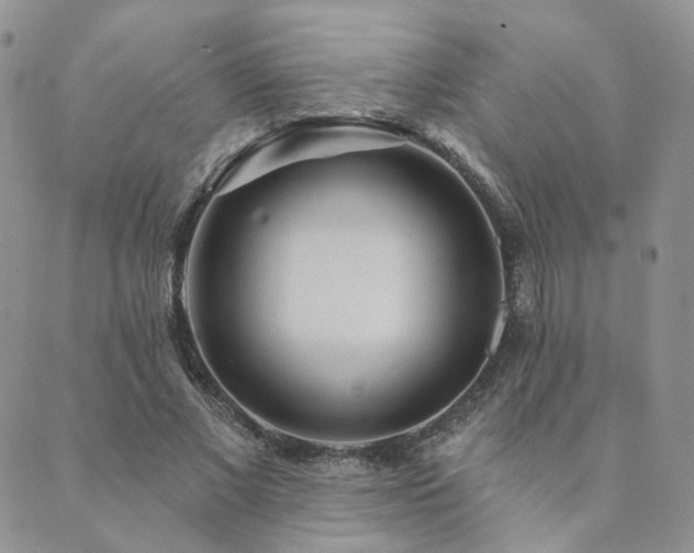 X0000089740685200706211502