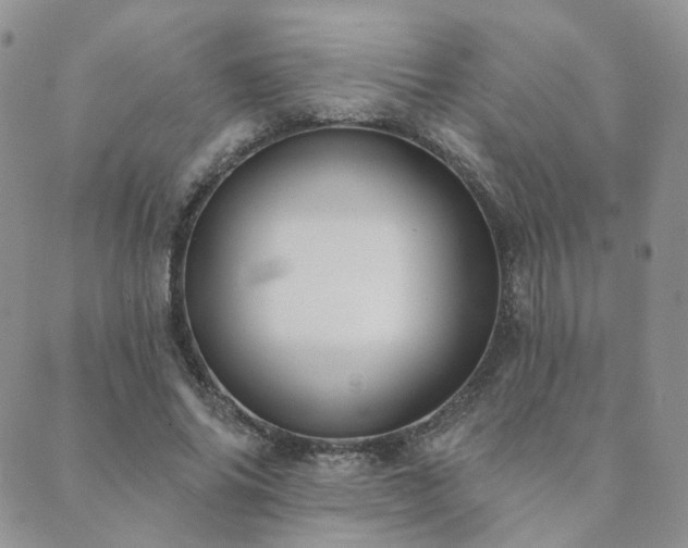 X0000089740686200706211502