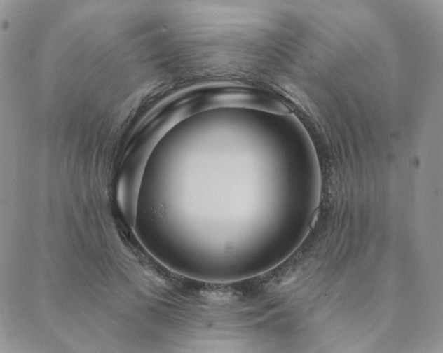 X0000089740693200706211502