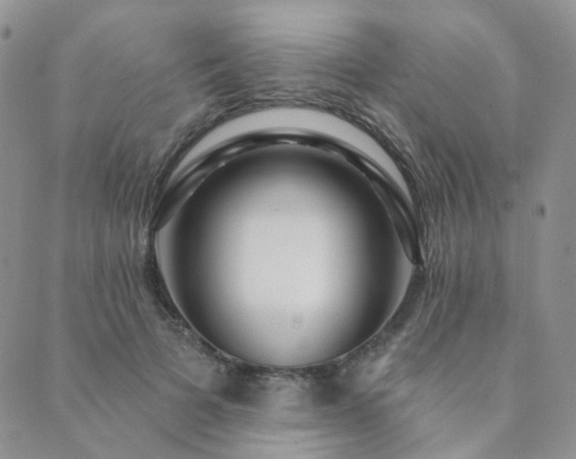 X0000089740697200706211502