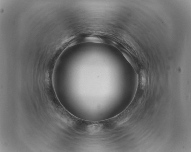 X0000089740700200706211502
