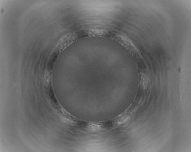 X0000089740701200706211502