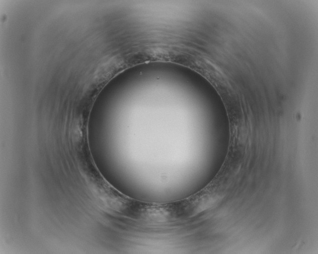 X0000089740702200706211502