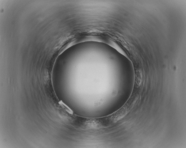 X0000089740704200706211502