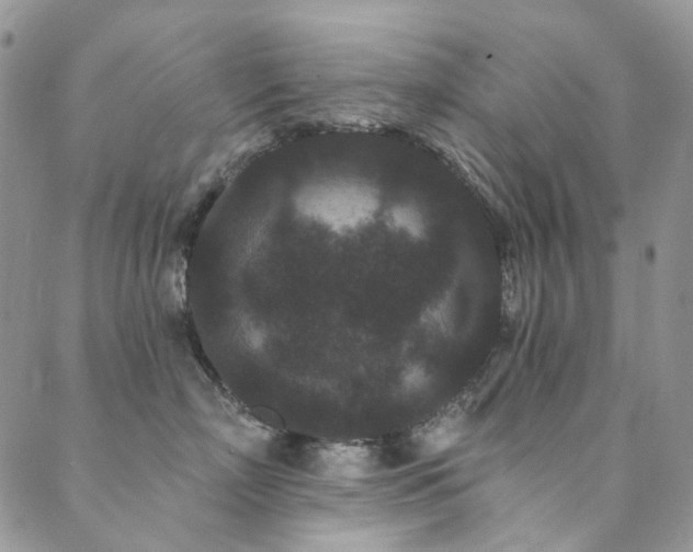 X0000089740718200706211502