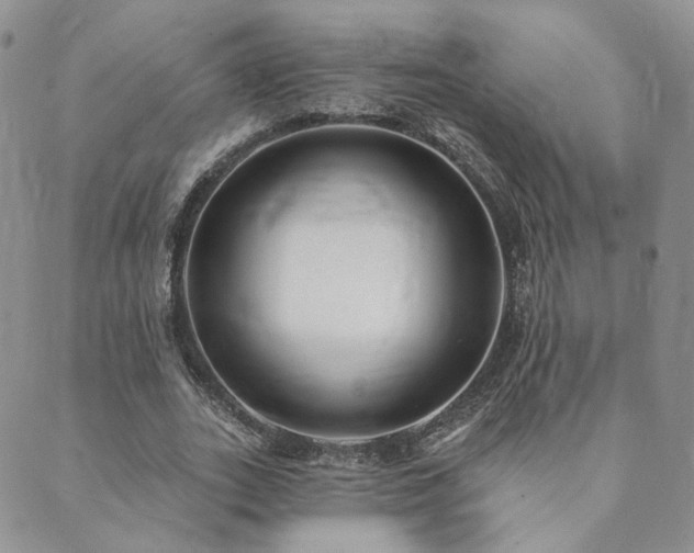 X0000089740727200706211501
