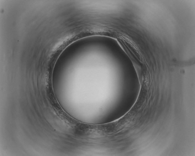 X0000089740732200706211501