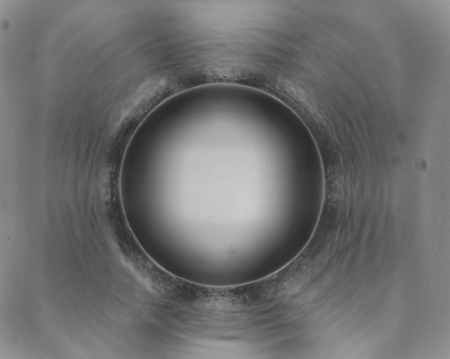 X0000089740738200706211501