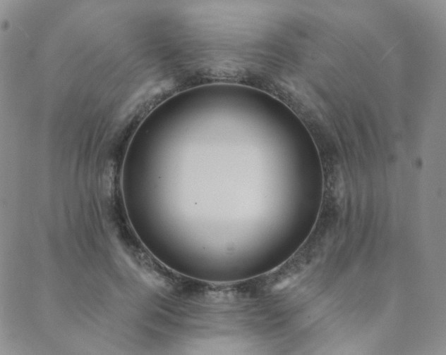 X0000089740744200706211501