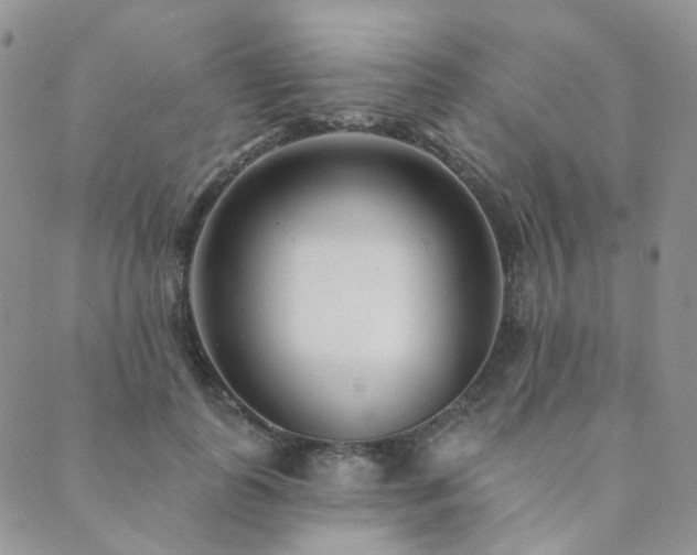 X0000089740747200706211501