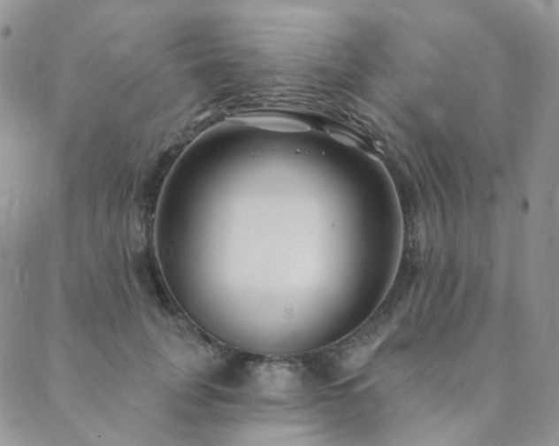 X0000089740751200706211501