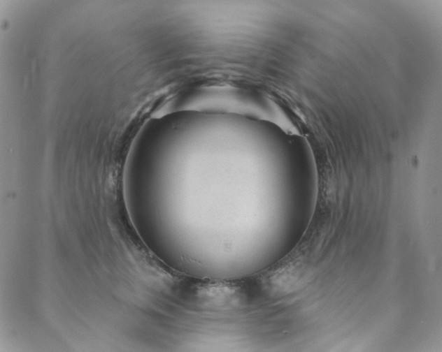 X0000089740759200706211502