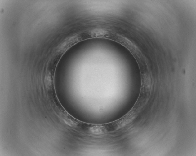 X0000089740761200706211502