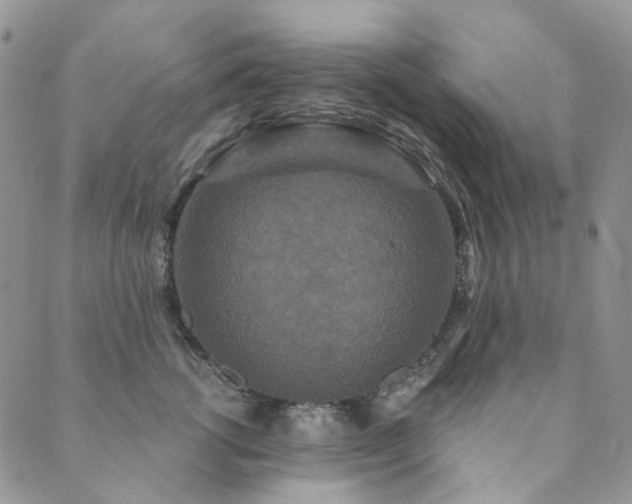 X0000089740762200706211502