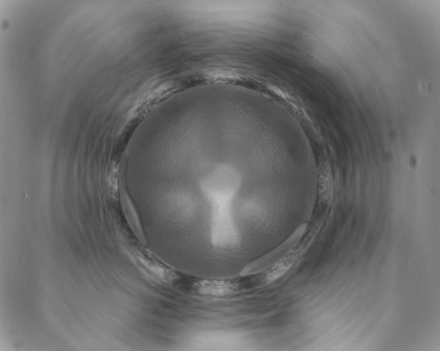 X0000089740766200706211502