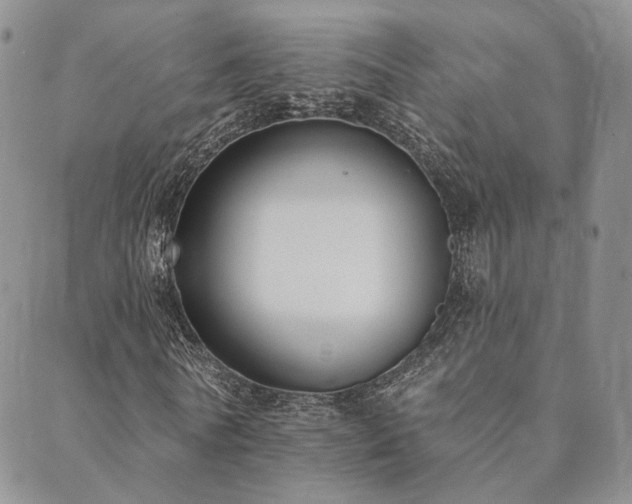 X0000089740770200706211501