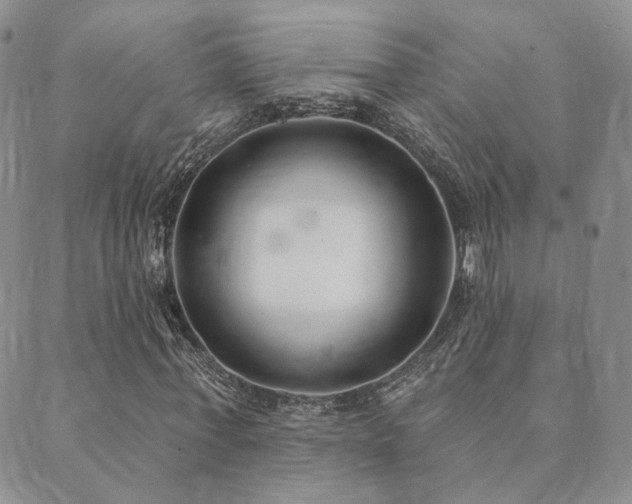 X0000089740771200706211501