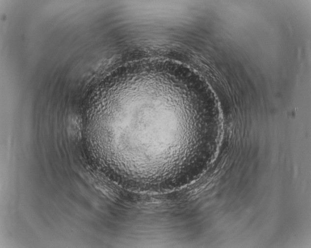X0000089740772200706211501