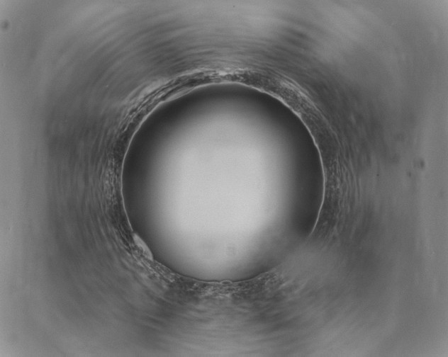 X0000089740773200706211501