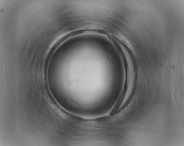 X0000089740784200706211501