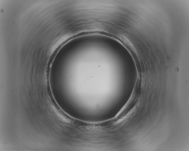 X0000089740789200706211501