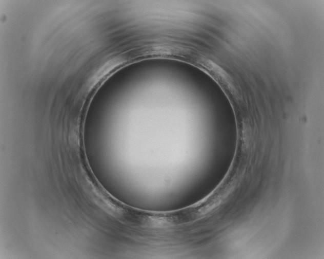 X0000089740794200706211501