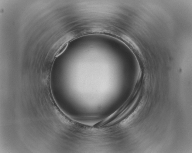 X0000089740801200706211500