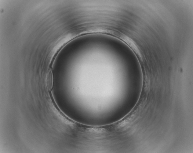 X0000089740805200706211500