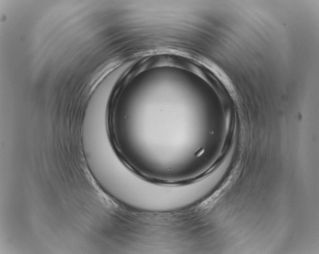 X0000089740809200706211500