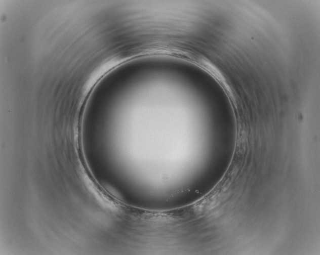 X0000089740811200706211500