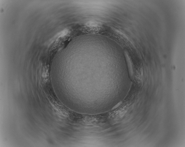 X0000089740818200706211459